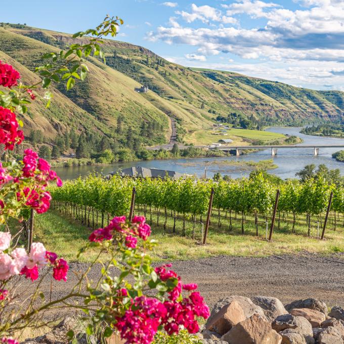Lewis Clark Valley Wine Region near Lewiston, Idaho Lewis Clark Valley Wine Region near Lewiston, Idaho