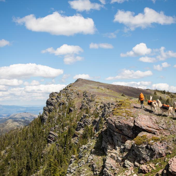 A scenic peak on the Continental Divide Trail in Helena, Montana A scenic peak on the Continental Divide Trail in Helena, Montana