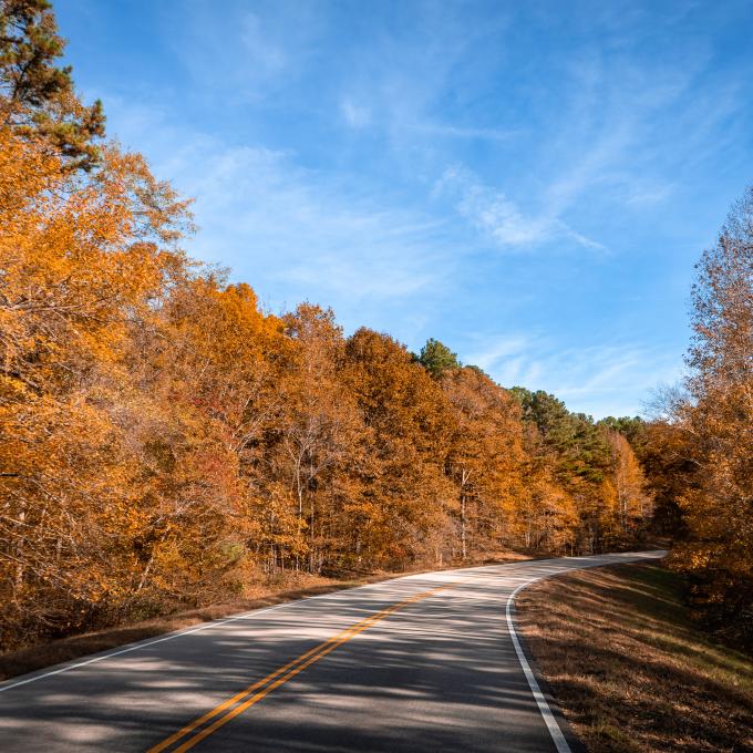 Fall foliage along the Natchez Trace Parkway near Tupelo, Mississippi Fall foliage along the Natchez Trace Parkway near Tupelo, Mississippi