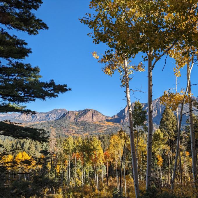 The San Juan National Forest near Pagosa Springs, California The San Juan National Forest near Pagosa Springs, California