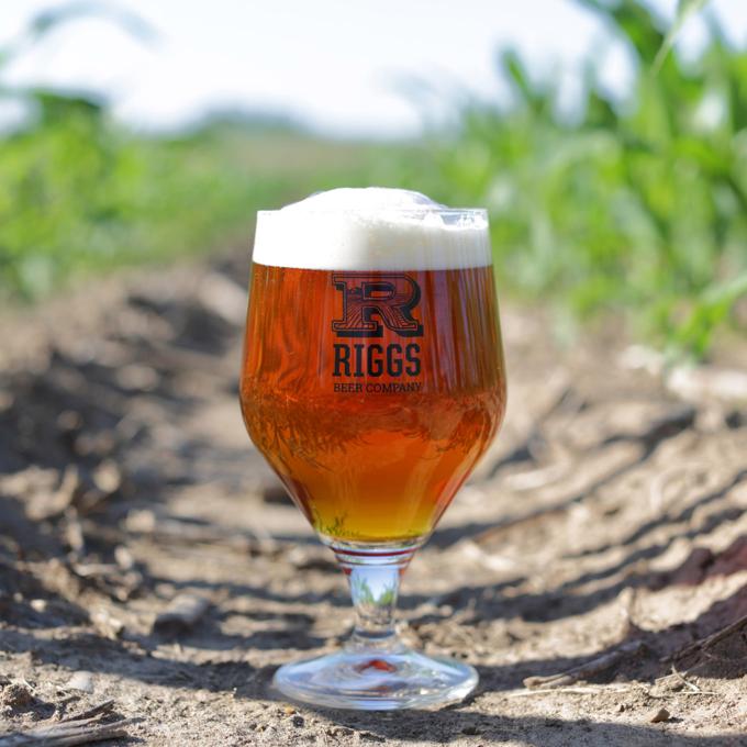 A glass of beer from Riggs Beer Company in Urbana, Illinois A glass of beer from Riggs Beer Company in Urbana, Illinois