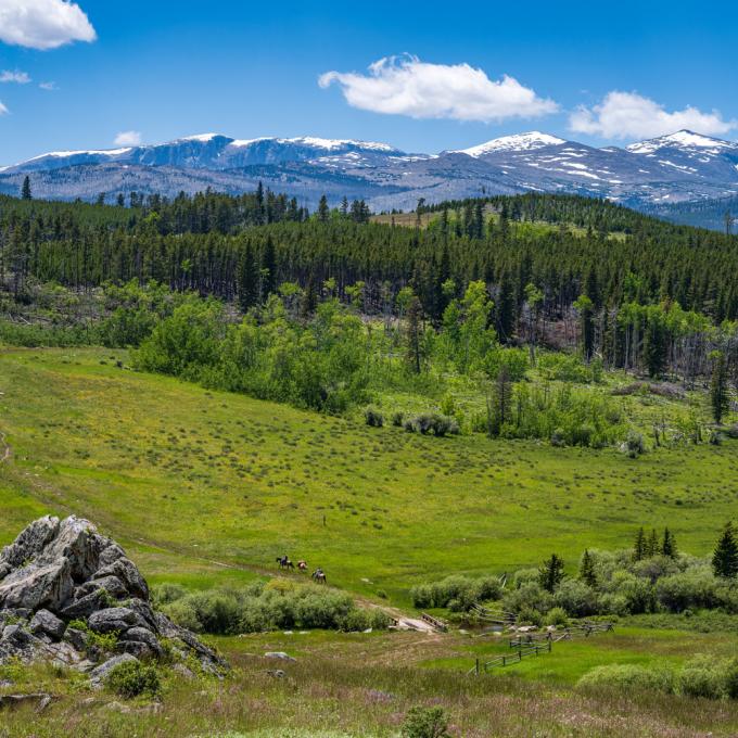 Riding horses through the Bighorn Mountains near Buffalo, Wyoming Riding horses through the Bighorn Mountains near Buffalo, Wyoming
