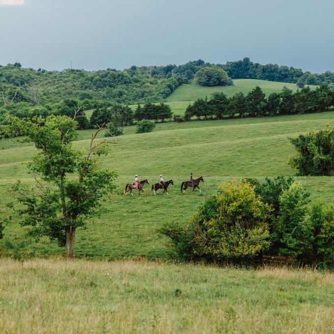 Horseback riding through the countryside of Harrodsburg, Kentucky