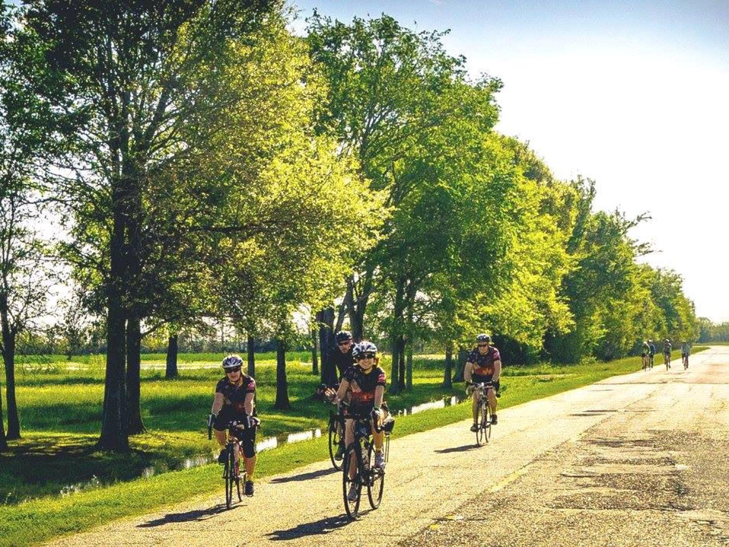 Balade en vélo le long d’une route bordée d’arbres lors du Cycle Zydeco Festival Balade en vélo le long d’une route bordée d’arbres lors du Cycle Zydeco Festival
