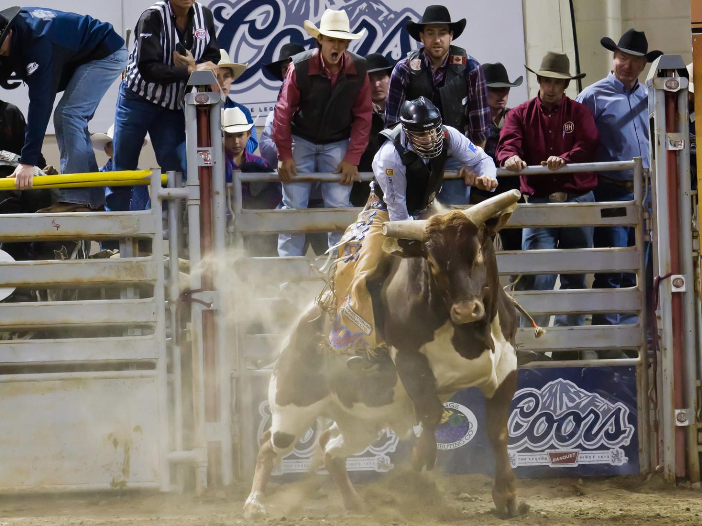 Participant au rodéo de l'association Professional Bull Riders de Billings Participant au rodéo de l'association Professional Bull Riders de Billings