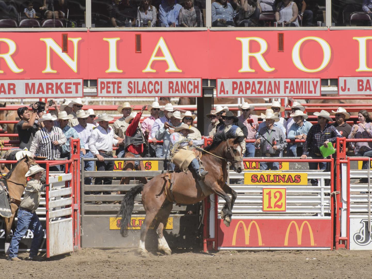 Zeitreise in den Wilden Westen – beim Salinas Rodeo Zeitreise in den Wilden Westen – beim Salinas Rodeo