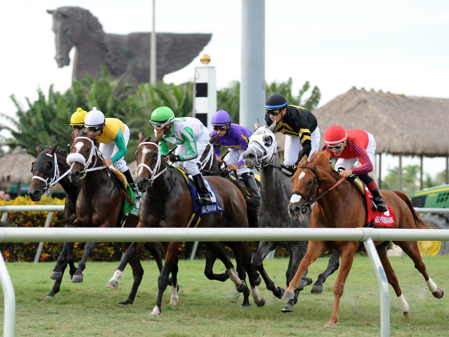 Course hippique Pegasus World Cup Invitational sur l’hippodrome Gulfstream Park, à Hallandale Beach Course hippique Pegasus World Cup Invitational sur l’hippodrome Gulfstream Park, à Hallandale Beach