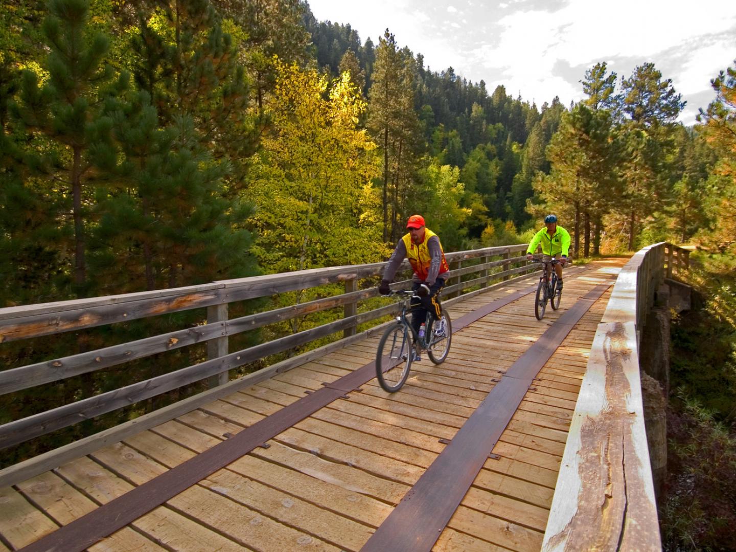 Cyclistes traversant un pont au cœur de la forêt verdoyante lors du Mickelson Trail Trek Cyclistes traversant un pont au cœur de la forêt verdoyante lors du Mickelson Trail Trek