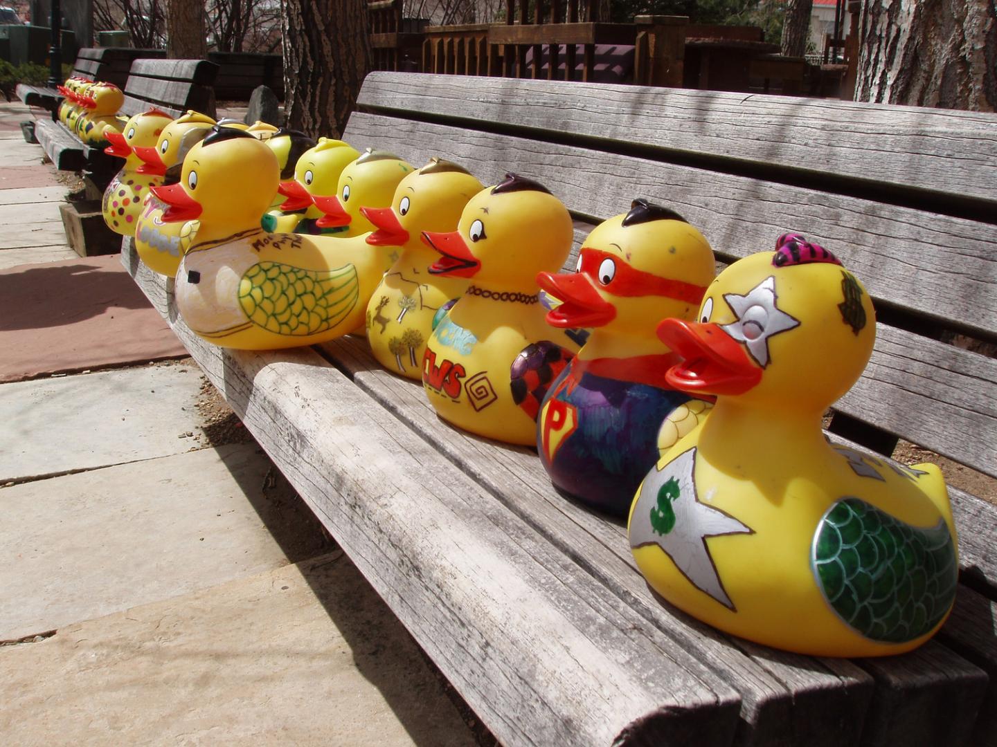 Bei der Duck Race auf dem Fall River treten „adoptierte“ Gummienten gegeneinander an und kämpfen um Preise. Bei der Duck Race auf dem Fall River treten „adoptierte“ Gummienten gegeneinander an und kämpfen um Preise.