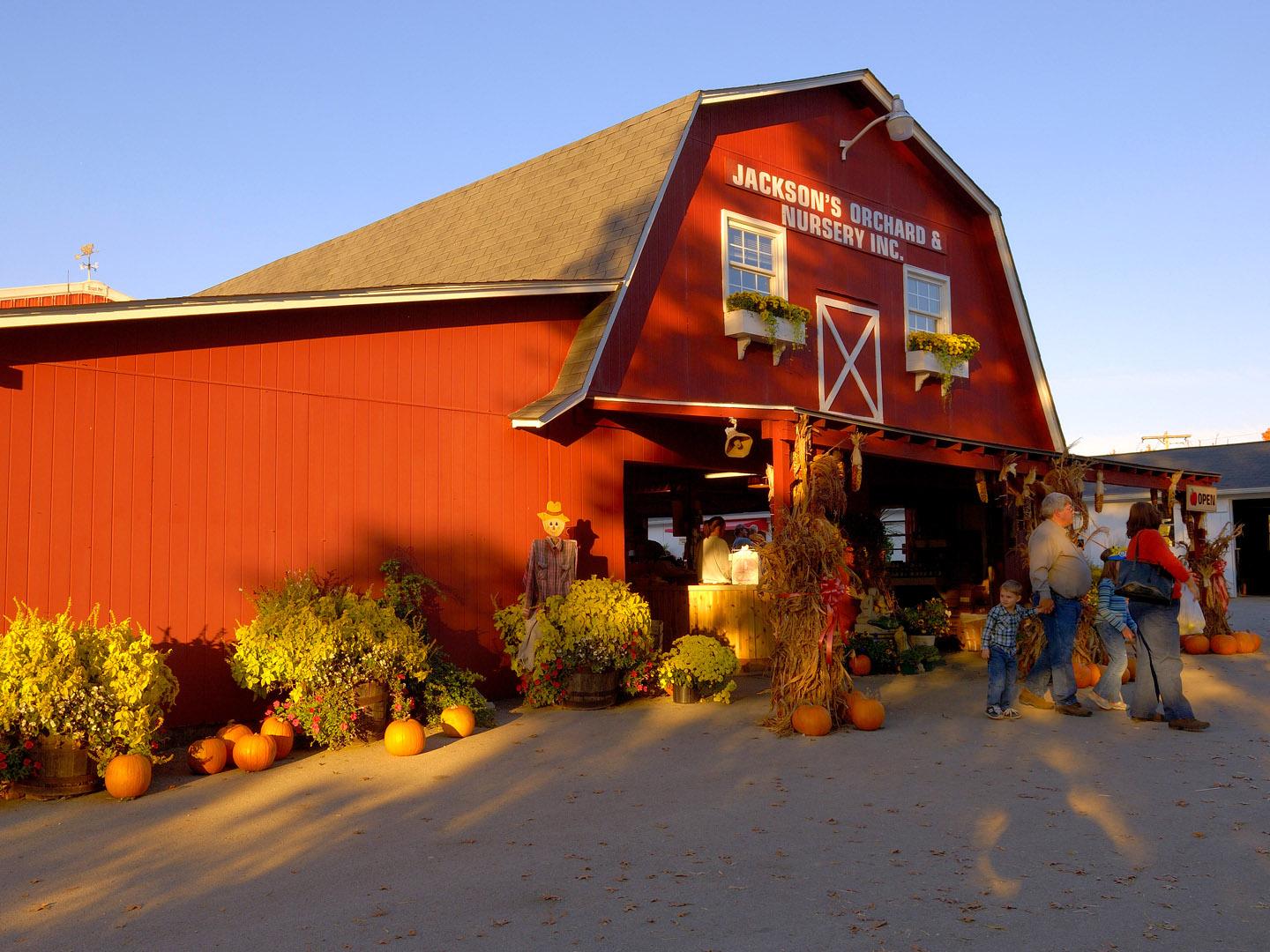 Jackson’s Orchard Pumpkin Festival Jackson’s Orchard Pumpkin Festival