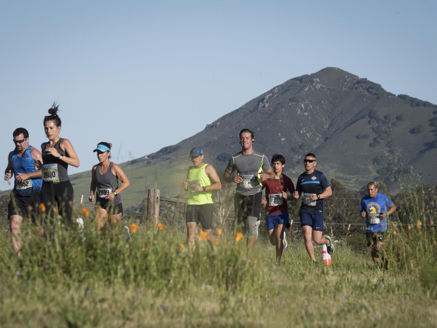 Teilnehmer am San Luis Obispo Marathon + Half, Kalifornien Teilnehmer am San Luis Obispo Marathon + Half, Kalifornien