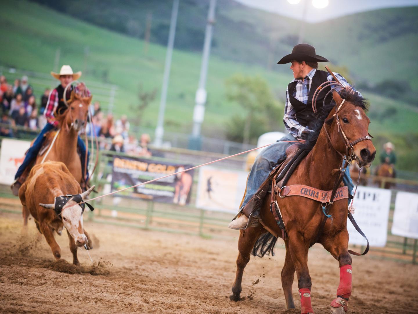 Teilnehmer am jährlichen Poly Royal Rodeo der California Polytechnic State University Teilnehmer am jährlichen Poly Royal Rodeo der California Polytechnic State University