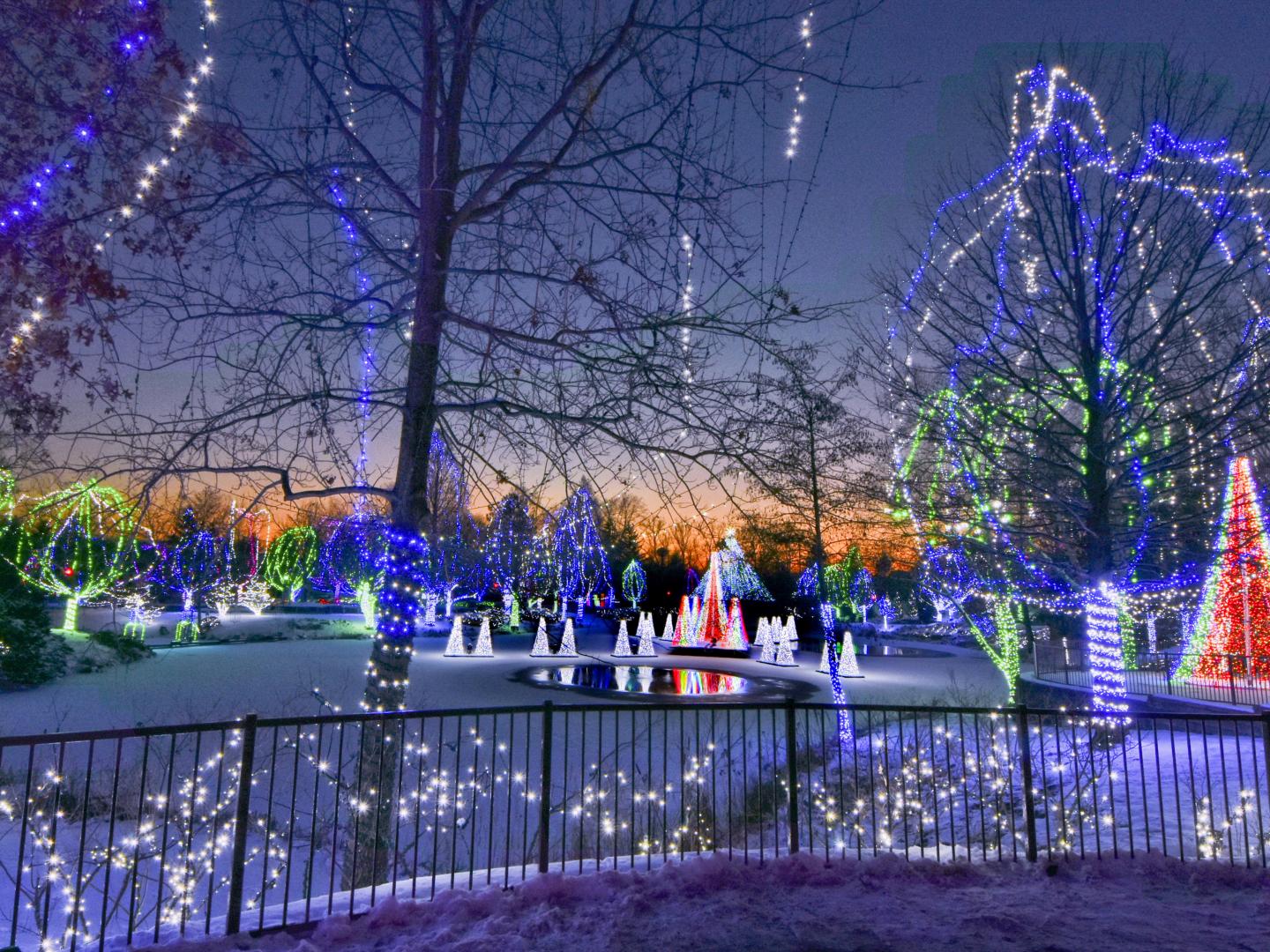 Wildlights – beeindruckende Weihnachtsbeleuchtung im Columbus Zoo und Aquarium in Ohio Wildlights – beeindruckende Weihnachtsbeleuchtung im Columbus Zoo und Aquarium in Ohio