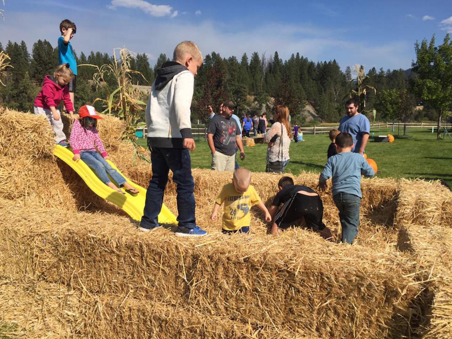 Un terrain de jeu en bottes de foin aménagé pour le Kootenai Harvest Festival à Libby, Montana Un terrain de jeu en bottes de foin aménagé pour le Kootenai Harvest Festival à Libby, Montana