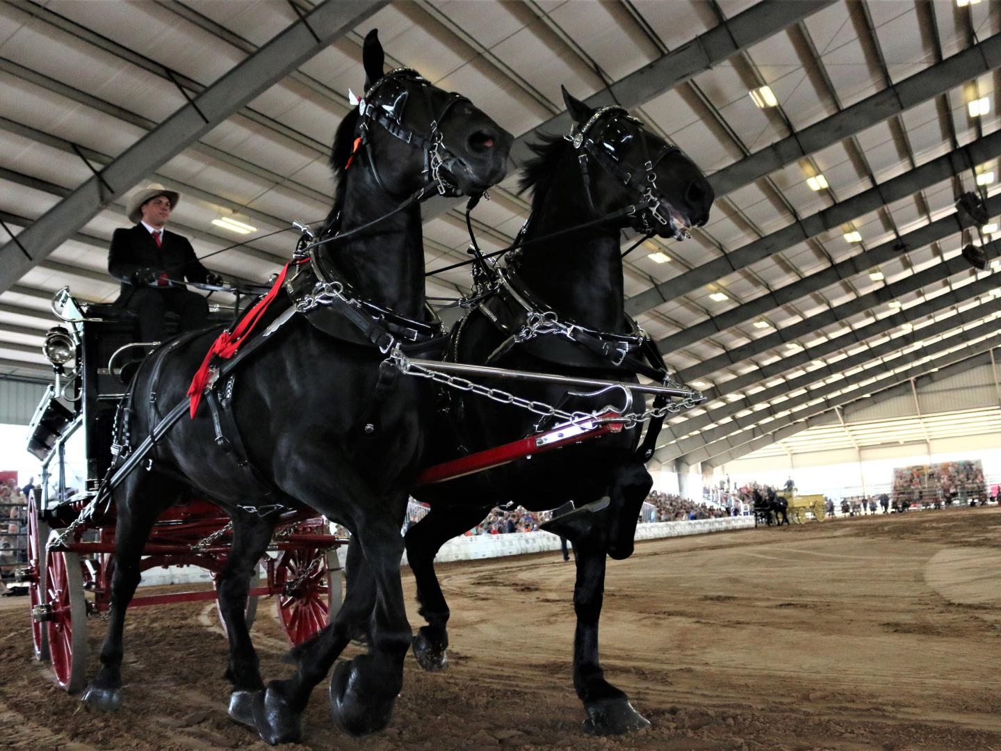 The Grandview Invitational Horse Show in Ocala, Florida The Grandview Invitational Horse Show in Ocala, Florida