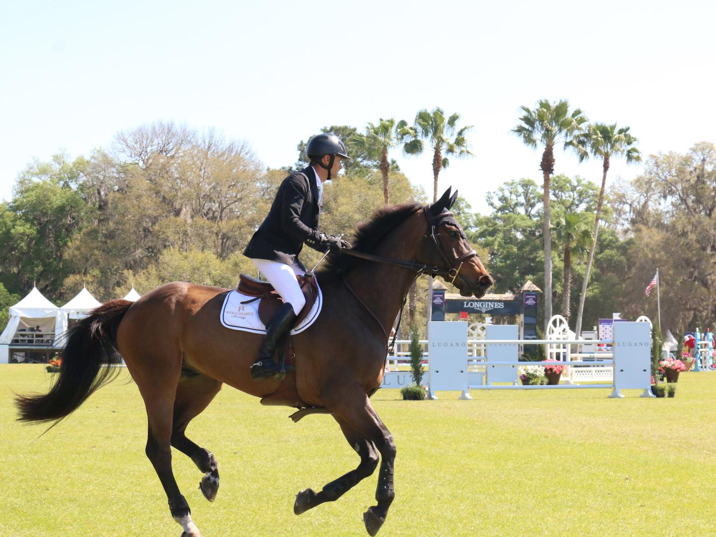 An equine athlete at the Live Oak Invitational in Ocala, Florida An equine athlete at the Live Oak Invitational in Ocala, Florida