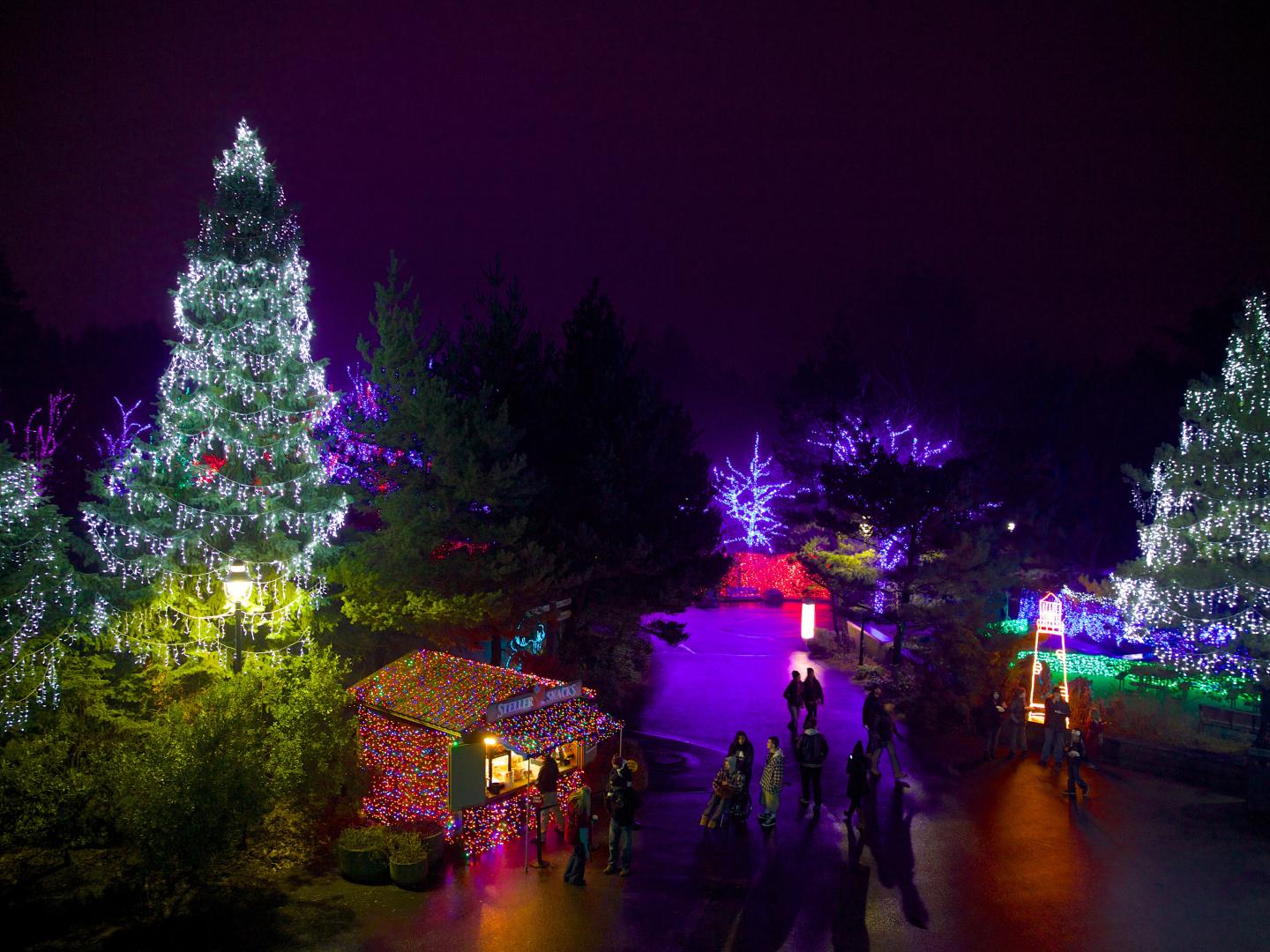 Festliche Beleuchtung beim Portland Winter Light Festival in Portland, Oregon Festliche Beleuchtung beim Portland Winter Light Festival in Portland, Oregon