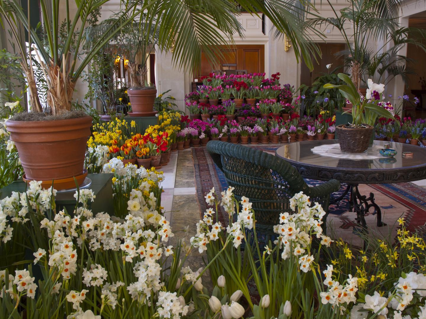 Des fleurs colorées ornent le George Eastman Museum lors de l’événement annuel Dutch Connection à Rochester, État de New York Des fleurs colorées ornent le George Eastman Museum lors de l’événement annuel Dutch Connection à Rochester, État de New York