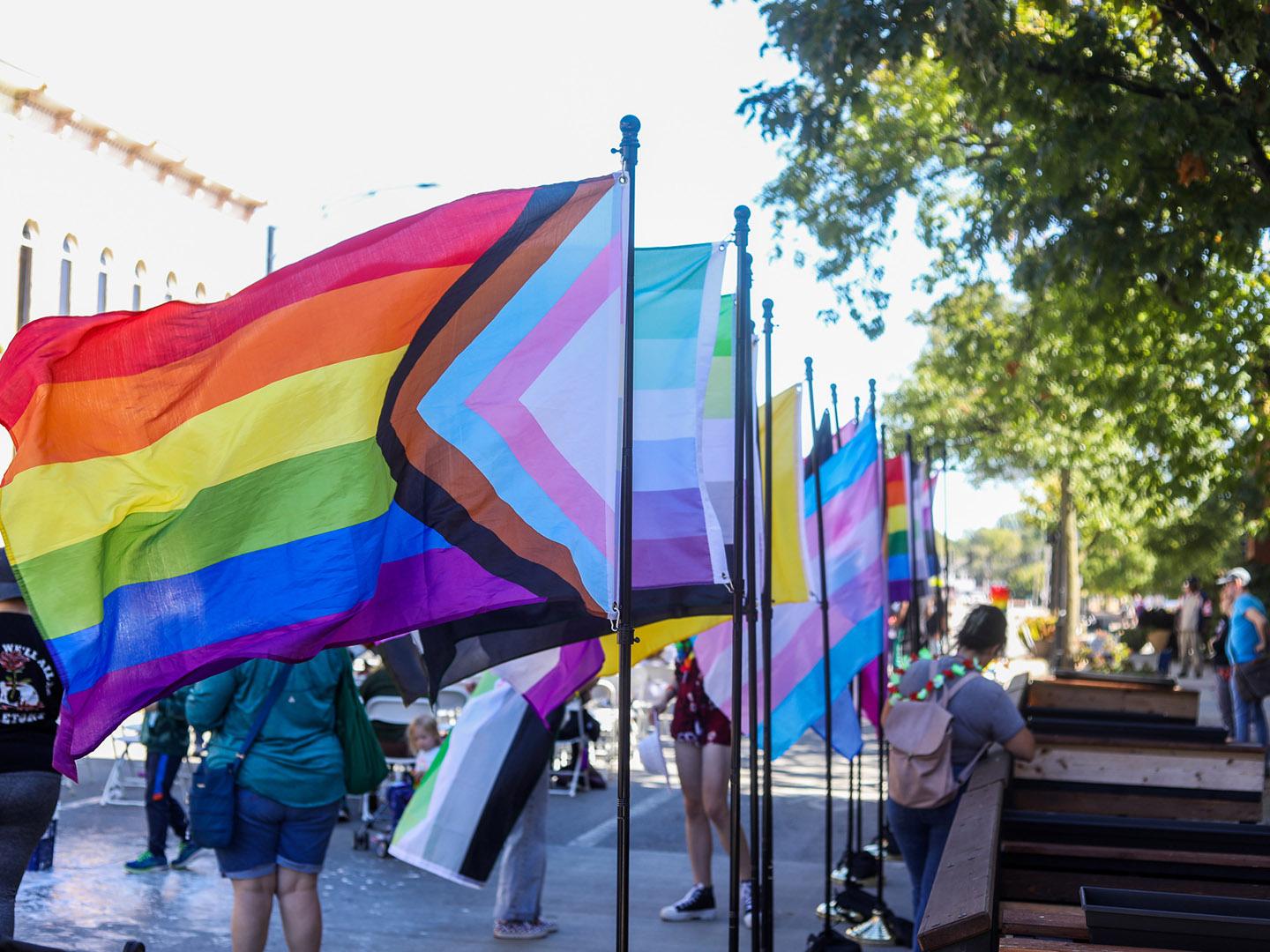 Drapeaux exposés lors du CU Pride Festival dans le centre-ville d’Urbana, Illinois Drapeaux exposés lors du CU Pride Festival dans le centre-ville d’Urbana, Illinois
