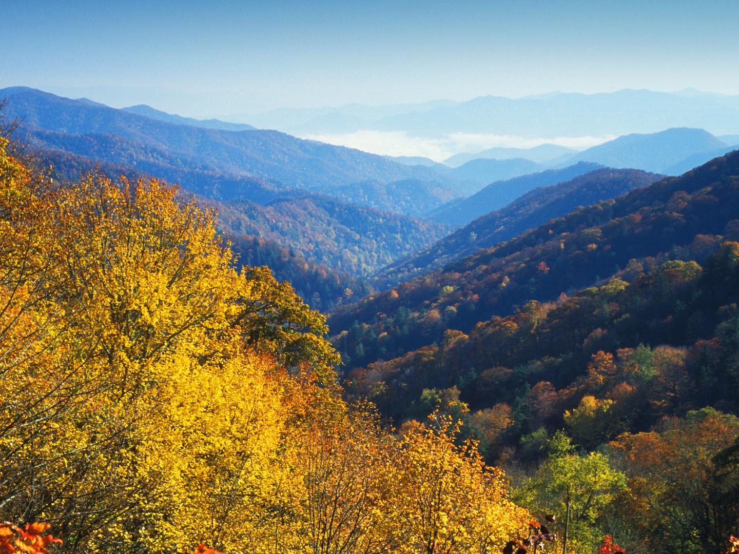 Colores otoñales en Newfound Gap en las Great Smoky Mountains Colores otoñales en Newfound Gap en las Great Smoky Mountains