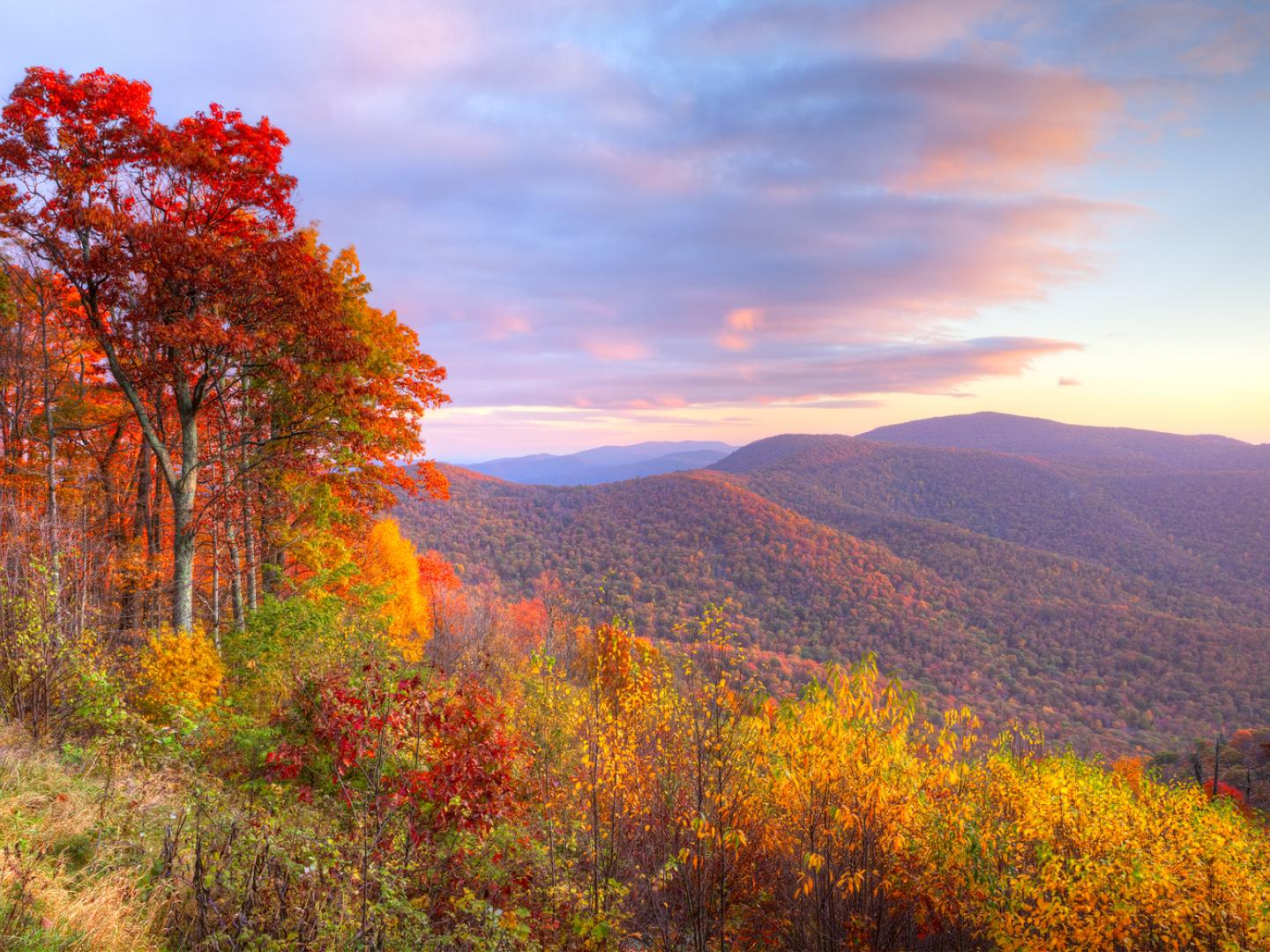 Shenandoah National Park Shenandoah National Park