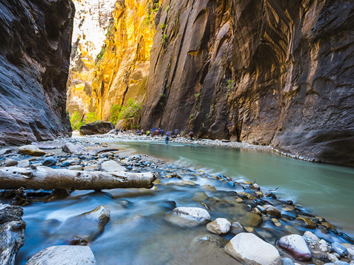 Wading and hiking the Narrows in Zion National Park Wading and hiking the Narrows in Zion National Park