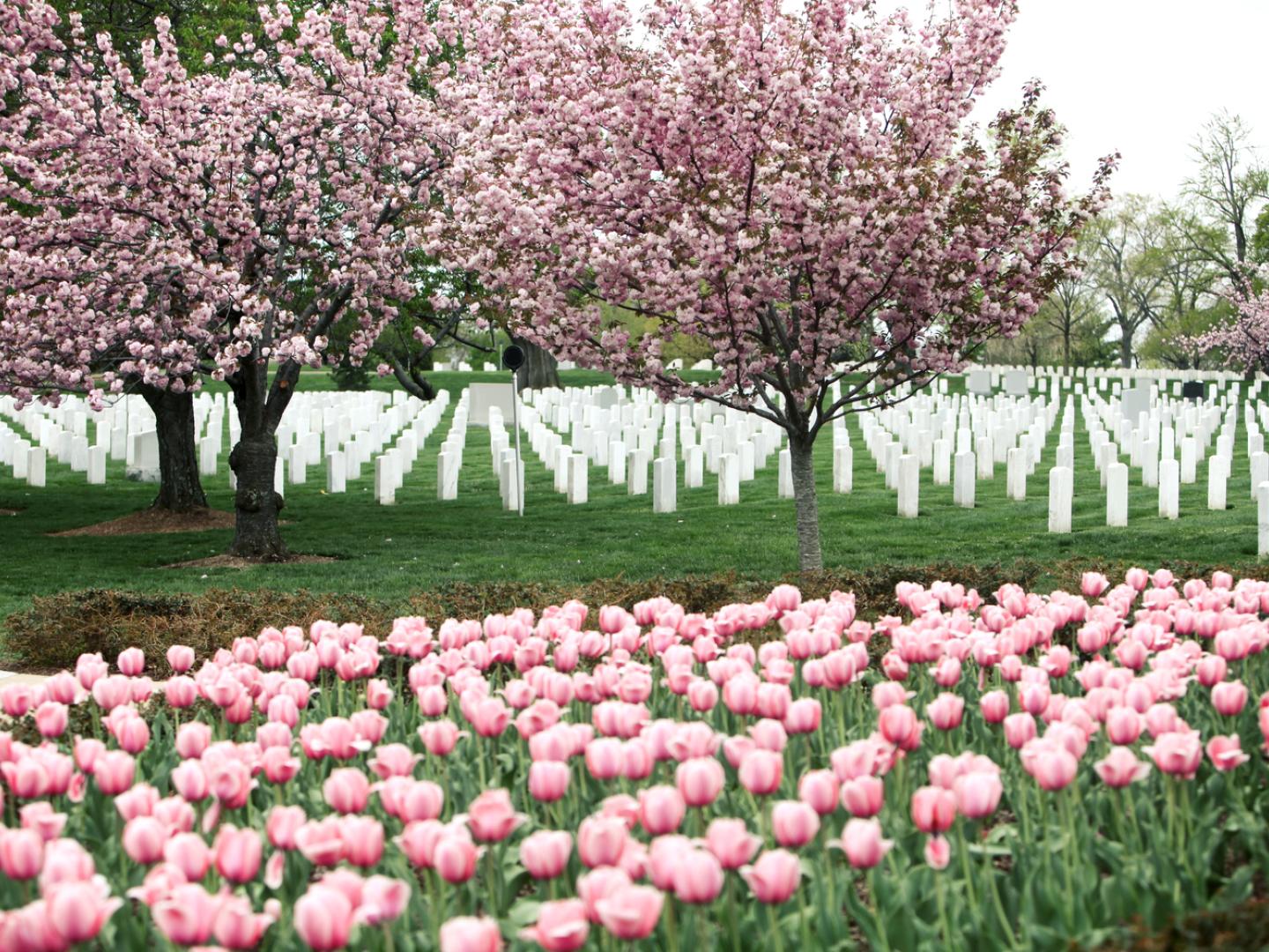 Arlington National Cemetery Arlington National Cemetery