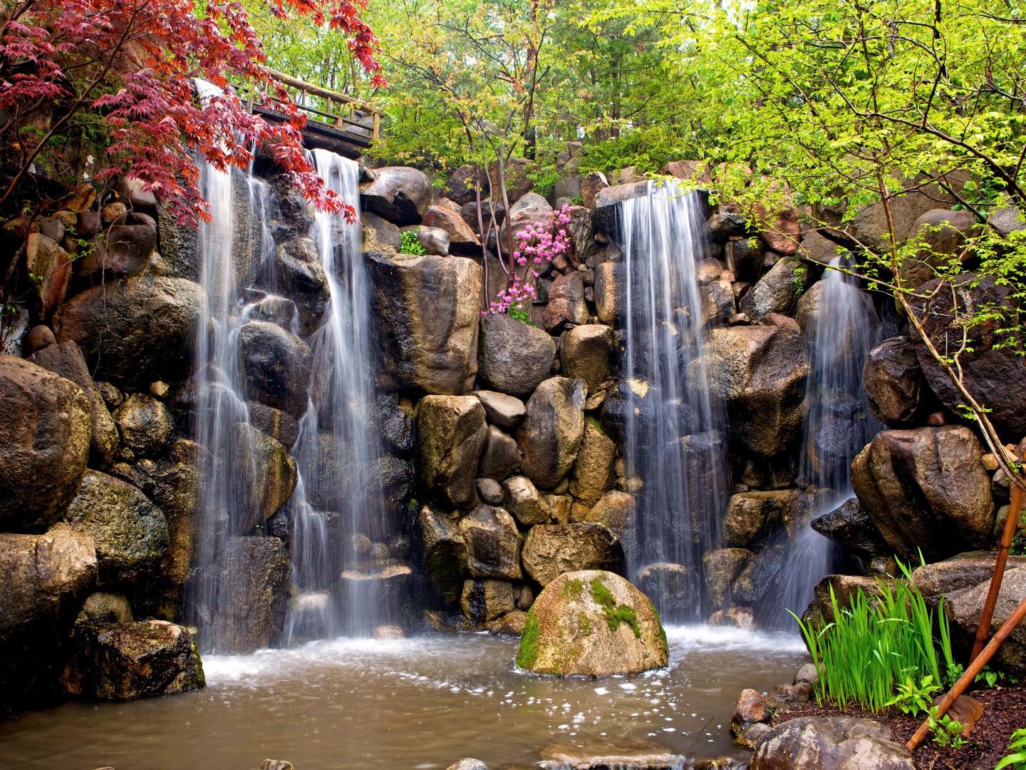 A lush waterfall in Anderson Japanese Gardens in Rockford A lush waterfall in Anderson Japanese Gardens in Rockford