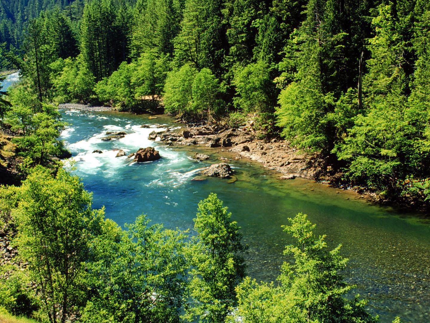 The Clackamas River as seen from the West Cascades Scenic Byway in Oregon The Clackamas River as seen from the West Cascades Scenic Byway in Oregon