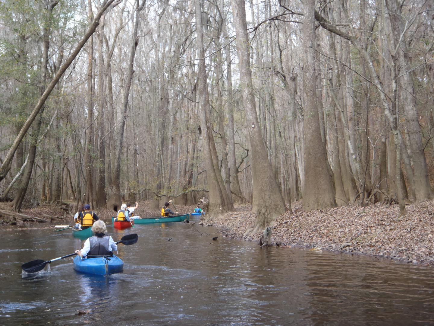 Kayak à Congaree National Park Kayak à Congaree National Park