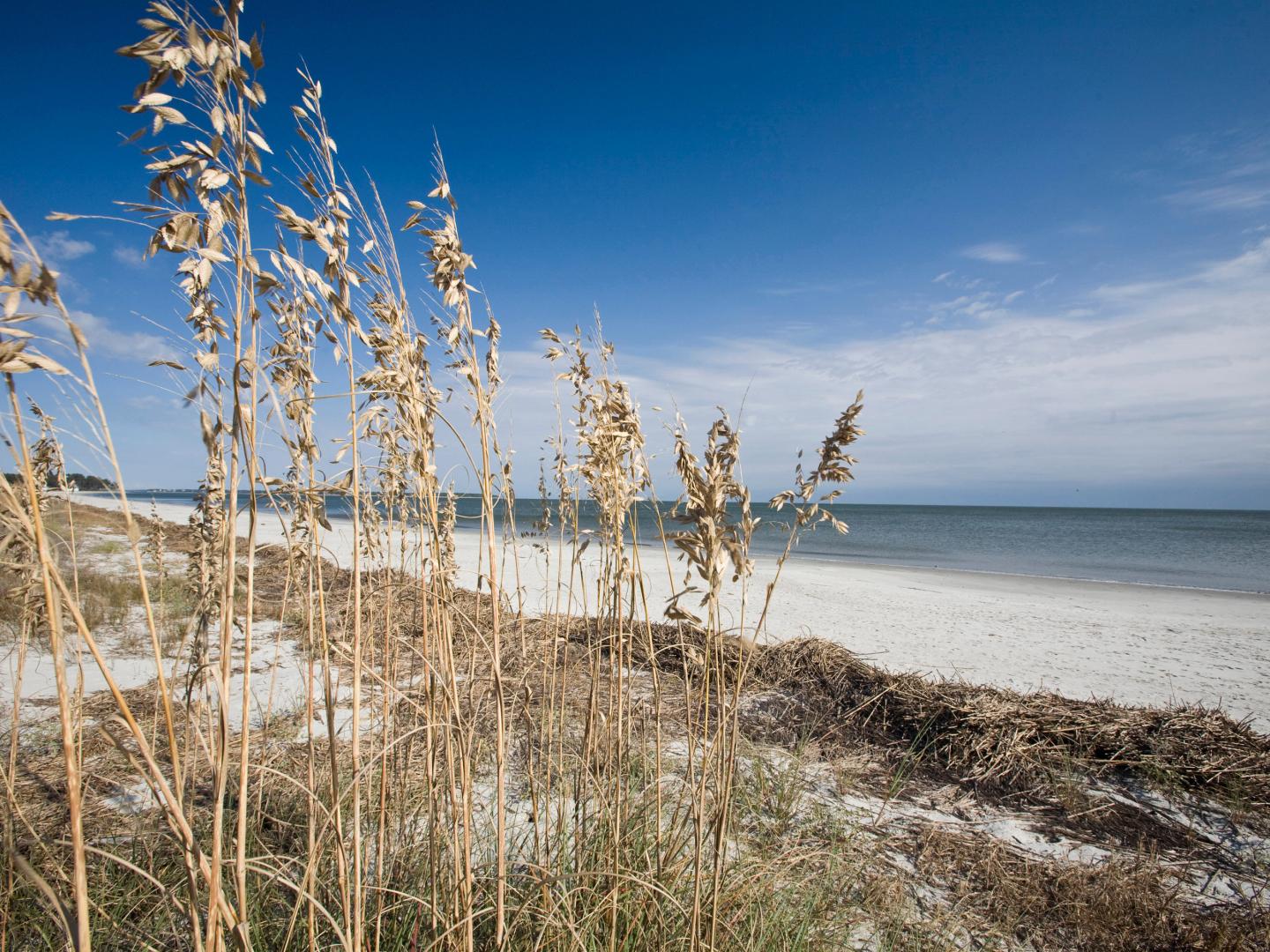 Vue de l’une des Sea Islands de Caroline du Sud depuis la plage Vue de l’une des Sea Islands de Caroline du Sud depuis la plage