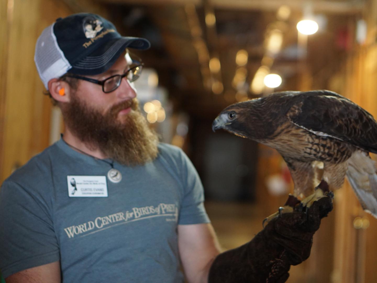 Interacting with incredible animals at the World Center for Birds of Prey Interacting with incredible animals at the World Center for Birds of Prey