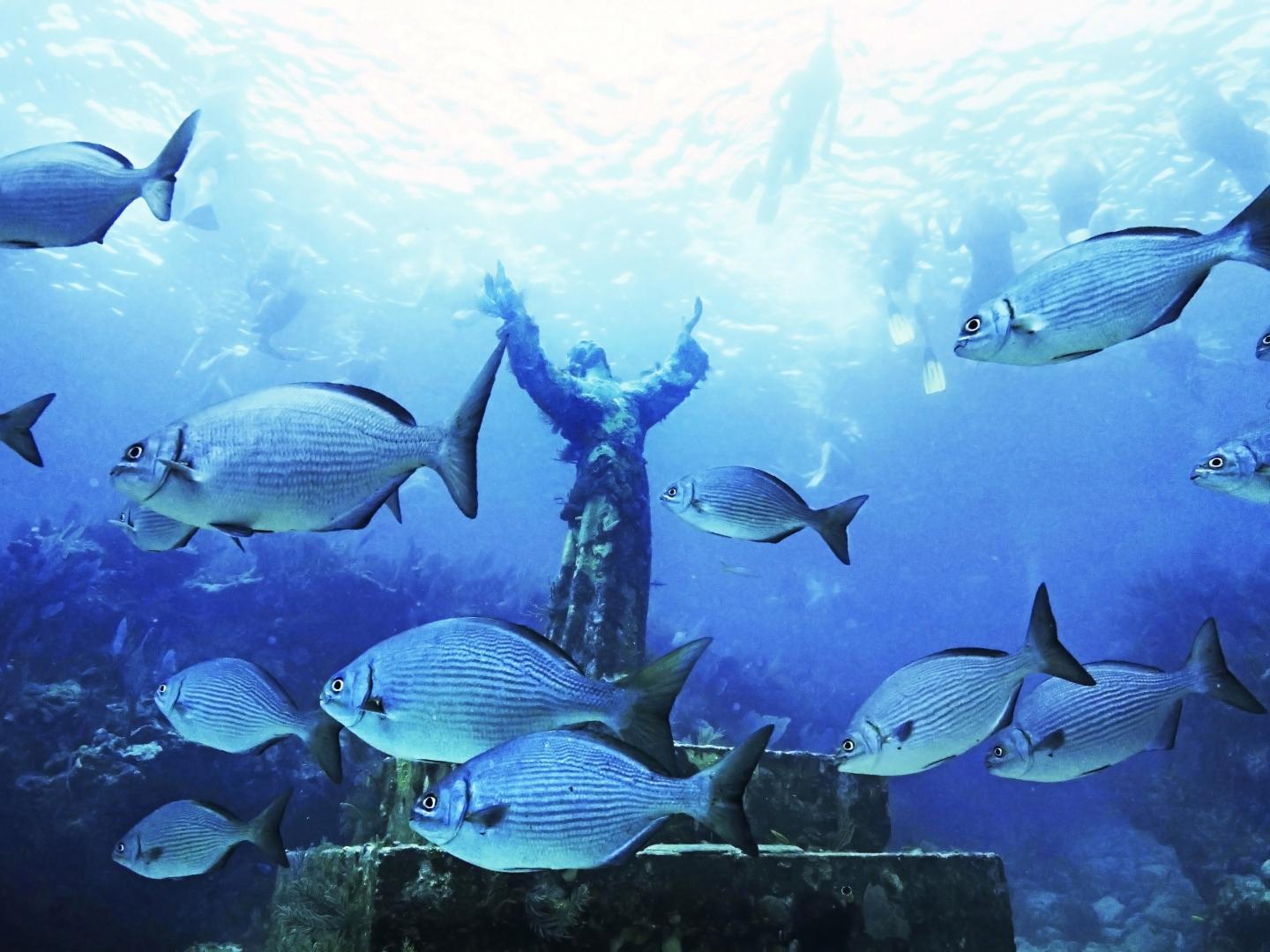 Fish swimming past the Christ of the Deep statue in the Florida Keys Fish swimming past the Christ of the Deep statue in the Florida Keys