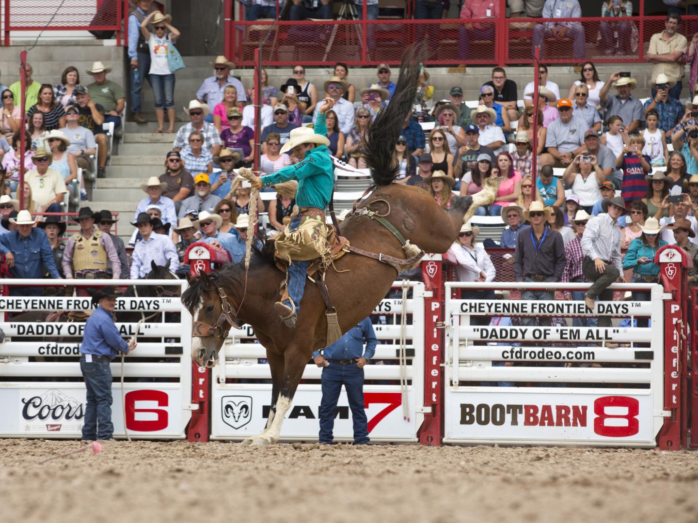 An expert rider at Cheyenne Frontier Days rodeo in Wyoming An expert rider at Cheyenne Frontier Days rodeo in Wyoming