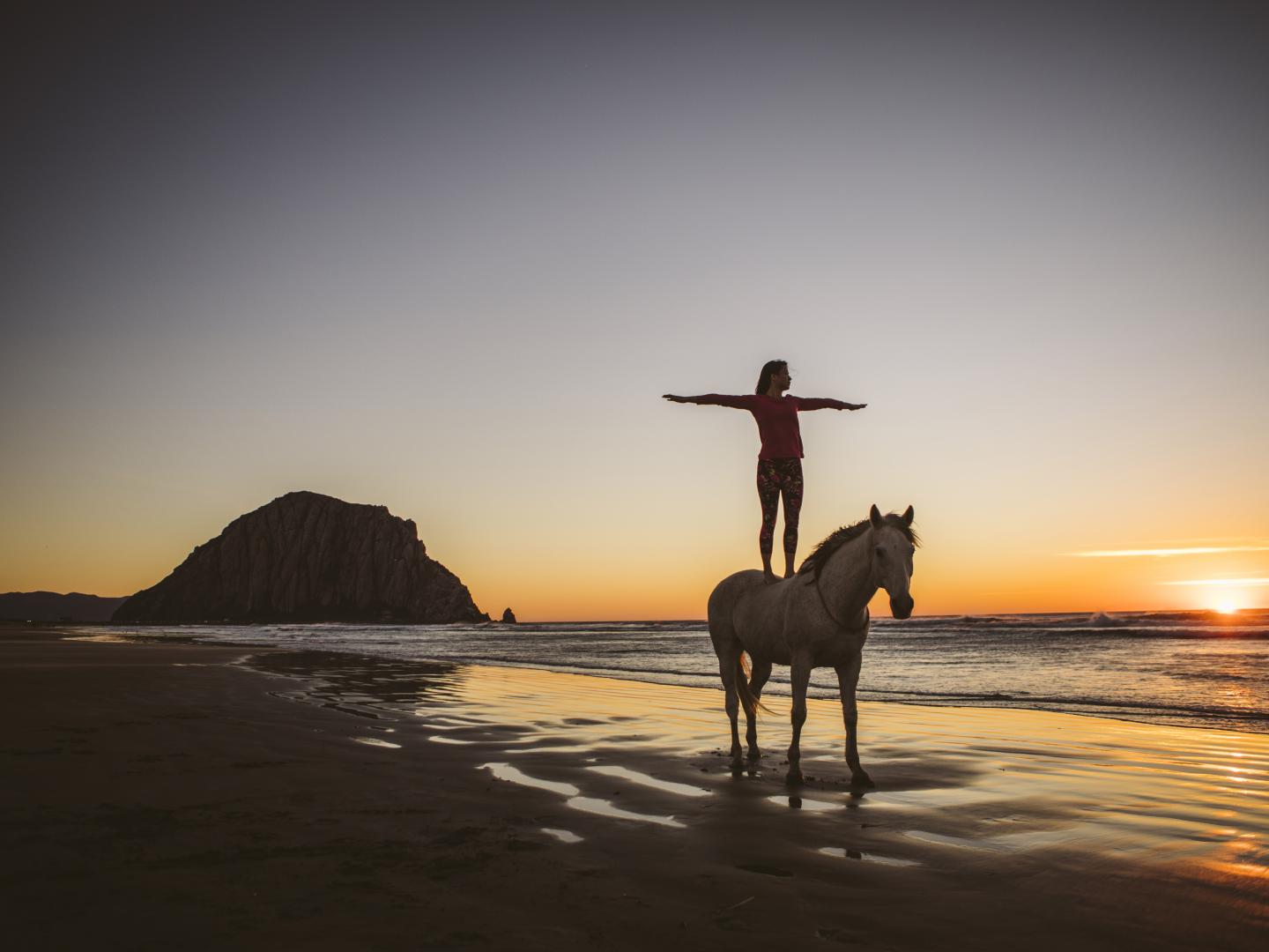 Balade à cheval devant Morro Bay en Californie Balade à cheval devant Morro Bay en Californie