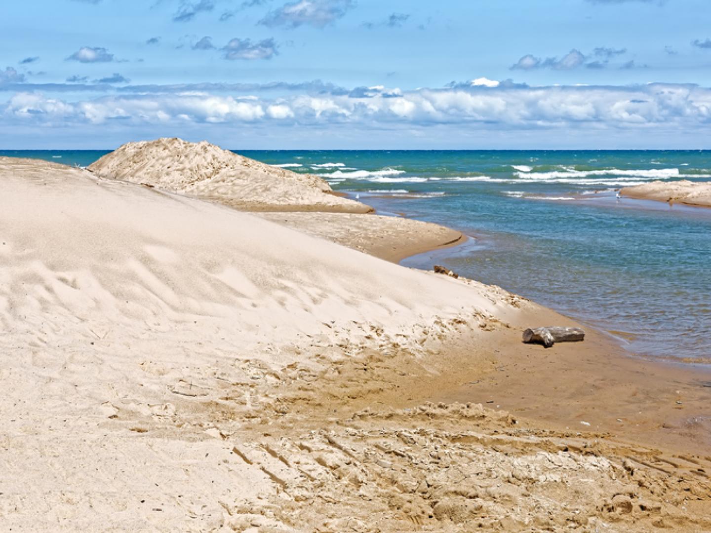 Dunas de arena a lo largo de la costa del Lake Michigan en la Indiana Dunes National Park Dunas de arena a lo largo de la costa del Lake Michigan en la Indiana Dunes National Park