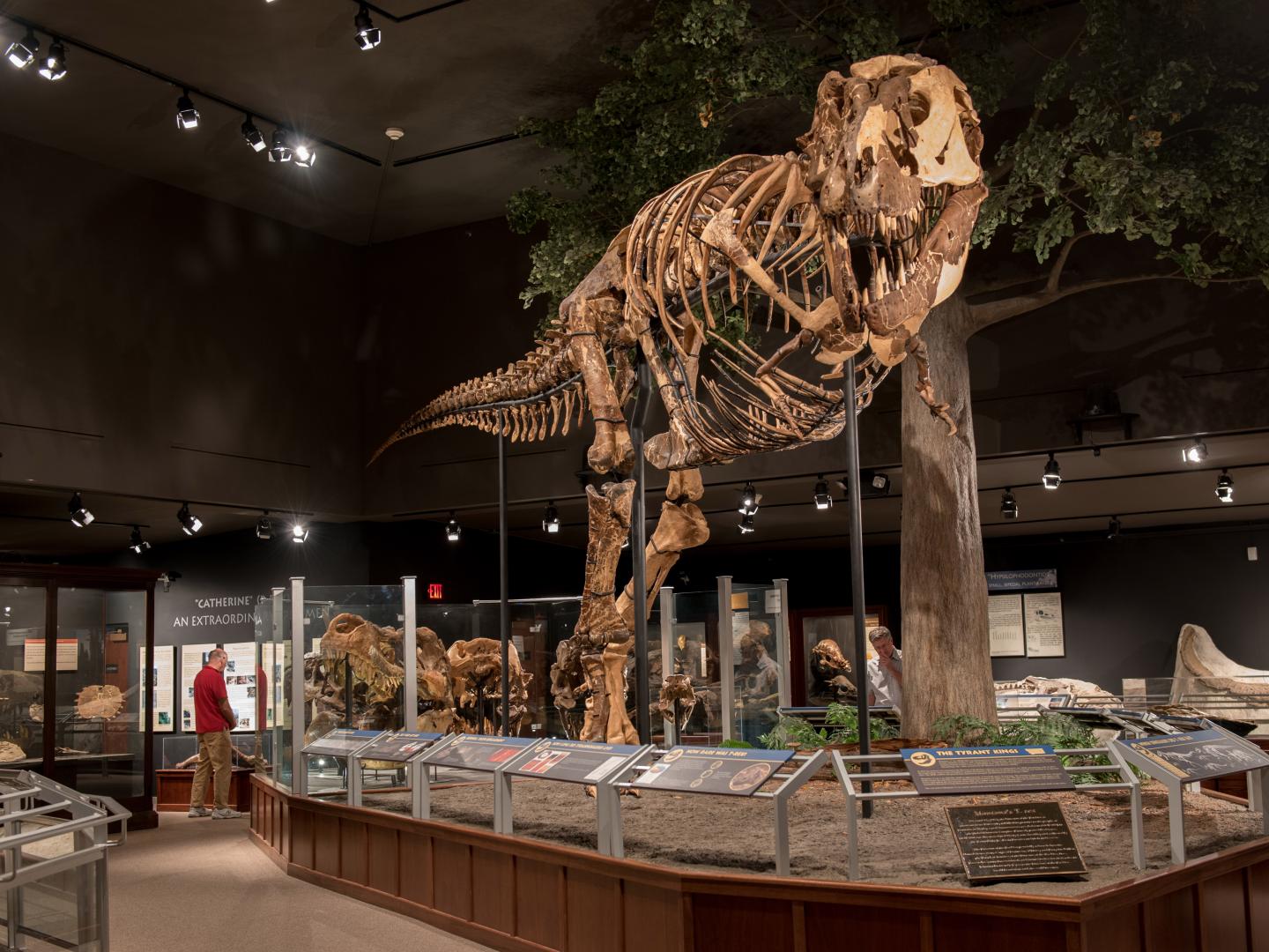 Exhibits inside the Museum of the Rockies in Bozeman, Montana Exhibits inside the Museum of the Rockies in Bozeman, Montana