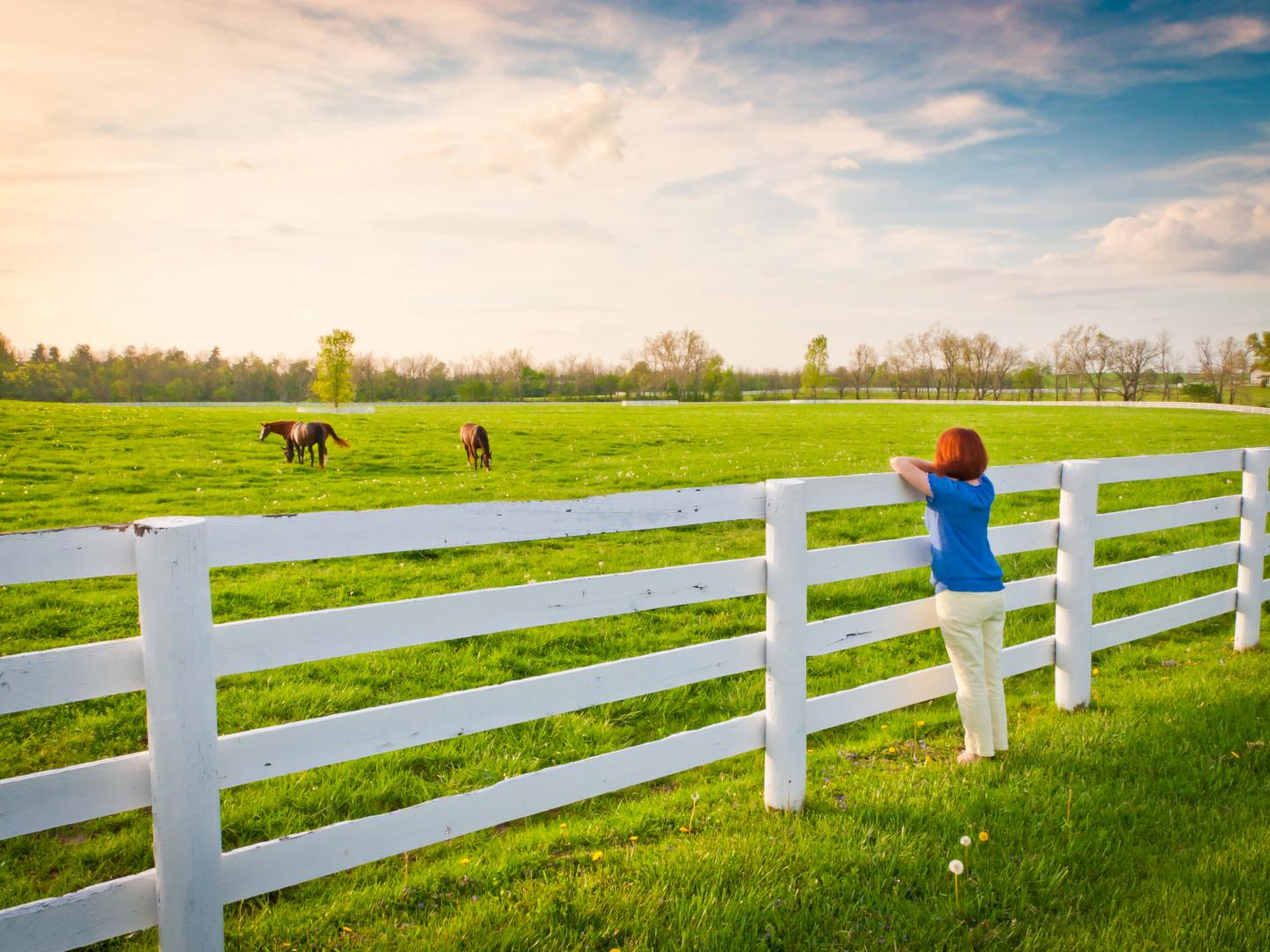 Woman touring a horse farm in Lexington, Kentucky Woman touring a horse farm in Lexington, Kentucky
