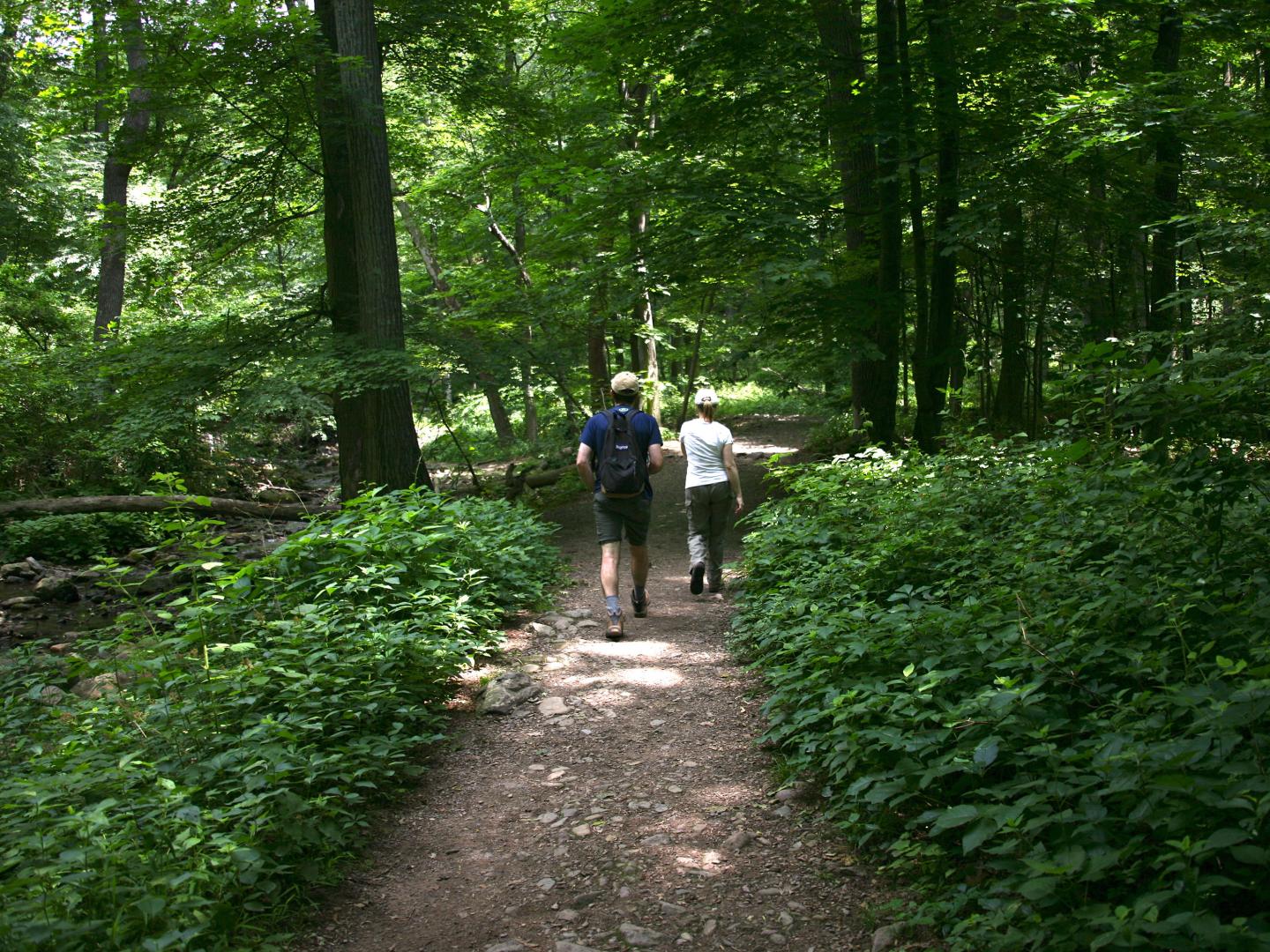 Couple hiking on the Appalachian Trail in New Jersey Couple hiking on the Appalachian Trail in New Jersey