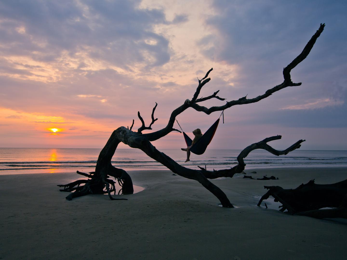 Driftwood Beach on Jekyll Island, Georgia Driftwood Beach on Jekyll Island, Georgia
