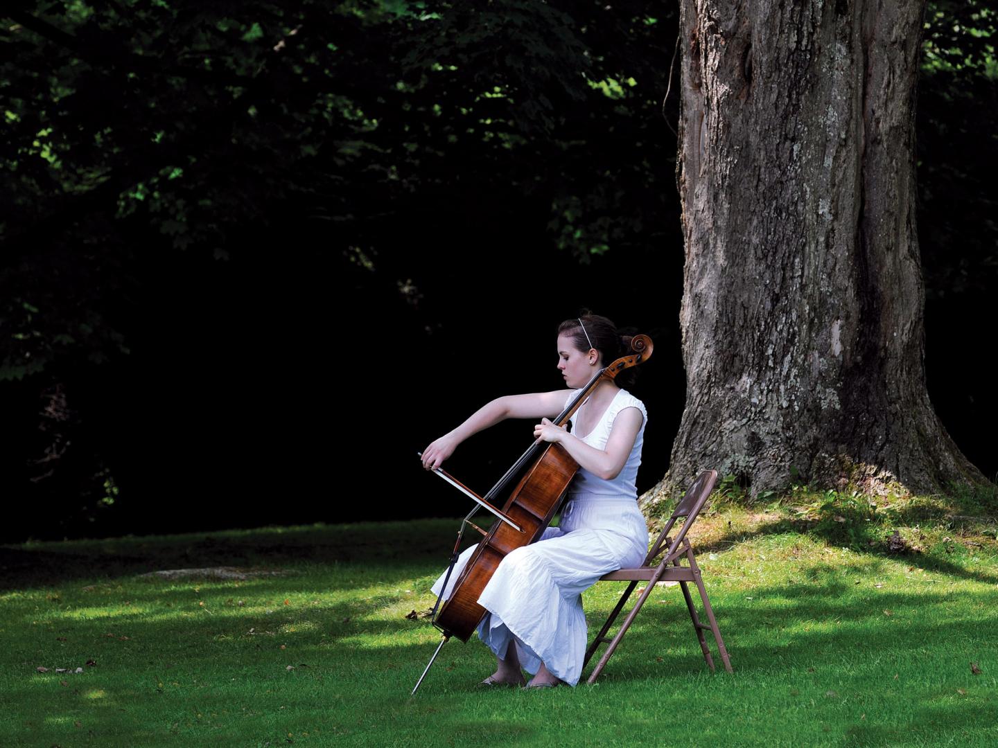 Cellist at Tanglewood in Lenox, Massachusetts Cellist at Tanglewood in Lenox, Massachusetts