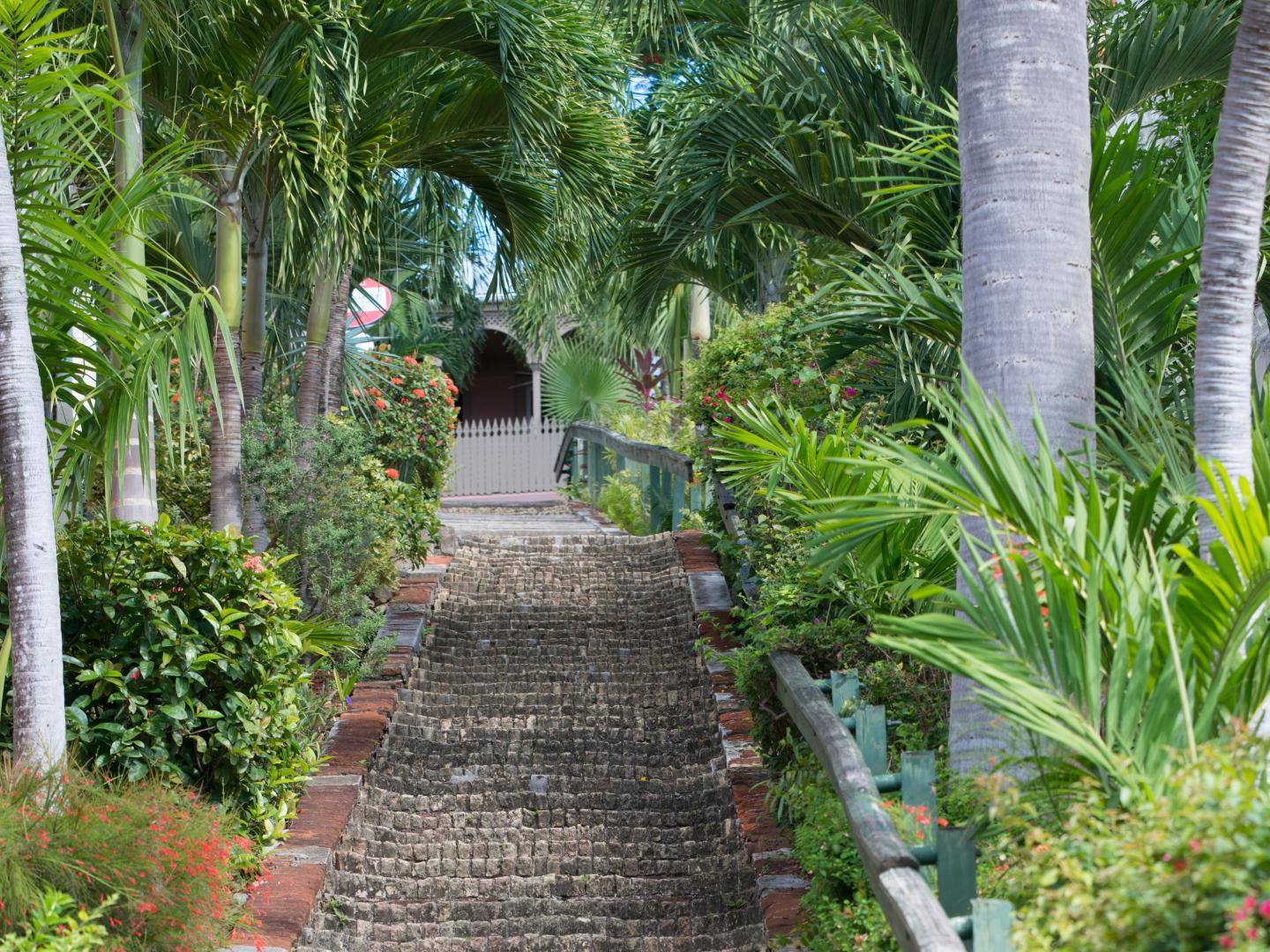 The 99 Steps of Charlotte Amalie in St. Thomas The 99 Steps of Charlotte Amalie in St. Thomas