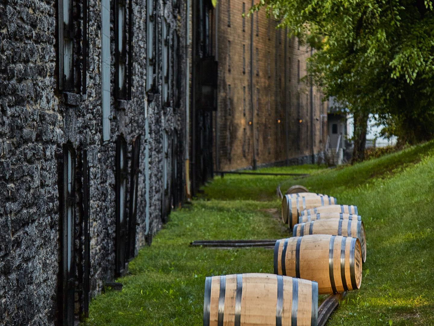 Bourbon-Fässer auf dem Gelände der Woodford Reserve Distillery in Versailles, Kentucky Bourbon-Fässer auf dem Gelände der Woodford Reserve Distillery in Versailles, Kentucky