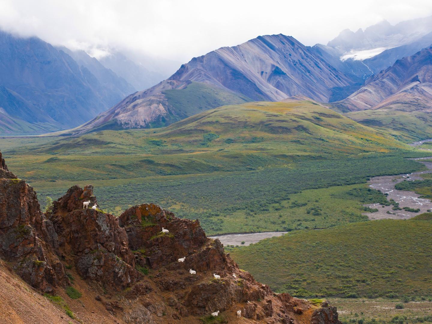 Denali National Park and Preserve Denali National Park and Preserve