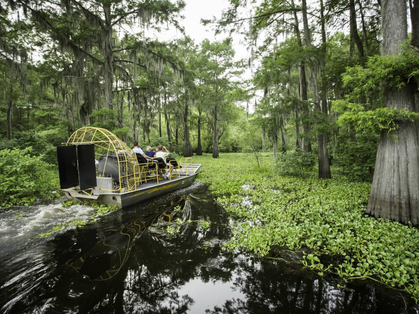 Taking an airboat tour of the Atchafalaya Basin in Louisiana Taking an airboat tour of the Atchafalaya Basin in Louisiana