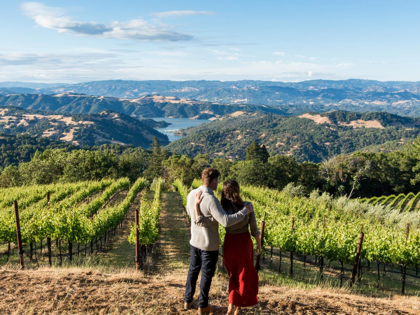 Vignoble avec vue sur le lac Sonoma dans le comté de Sonoma, en Californie Vignoble avec vue sur le lac Sonoma dans le comté de Sonoma, en Californie