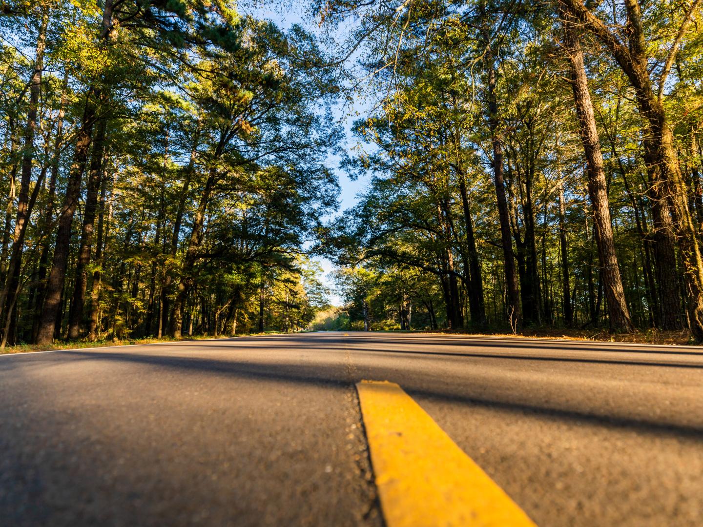 Sunset on the Natchez Trace Parkway in Mississippi Sunset on the Natchez Trace Parkway in Mississippi