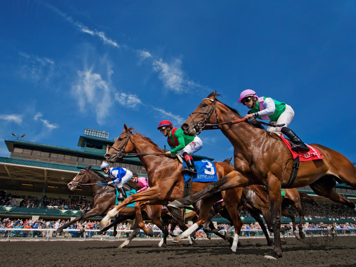 Thoroughbred horses race at Keeneland in Lexington, Kentucky Thoroughbred horses race at Keeneland in Lexington, Kentucky