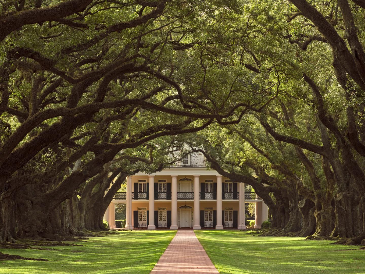 A breathtaking tunnel of trees leads to Oak Alley Plantation in Vacherie, Louisiana A breathtaking tunnel of trees leads to Oak Alley Plantation in Vacherie, Louisiana