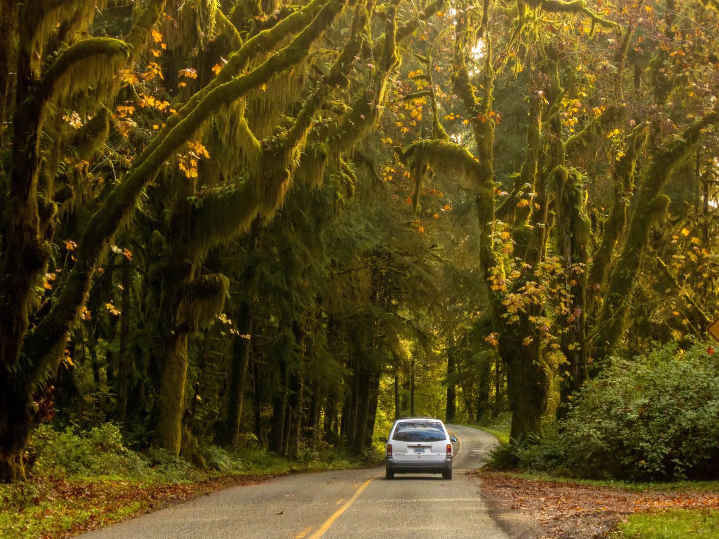 A scenic drive down the Olympic Peninsula's Pacific Coast Scenic Byway in Washington A scenic drive down the Olympic Peninsula's Pacific Coast Scenic Byway in Washington